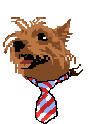 Amaru's head in pixel art: a scruffy brown yorkie seen side-on, mouth open mid-bark, wearing a red, white and blue striped necktie.